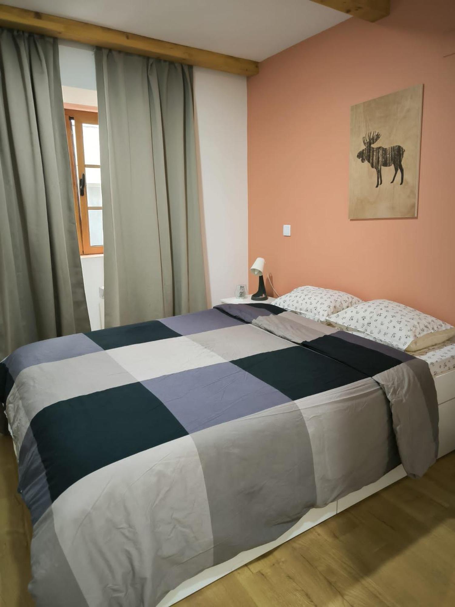 Coimbra Downtown Studio المظهر الخارجي الصورة